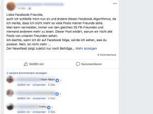 Screenshot vom Facebook-Algorithmus Hoax