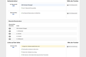 SEO-Analyse mit einem Online-Tool